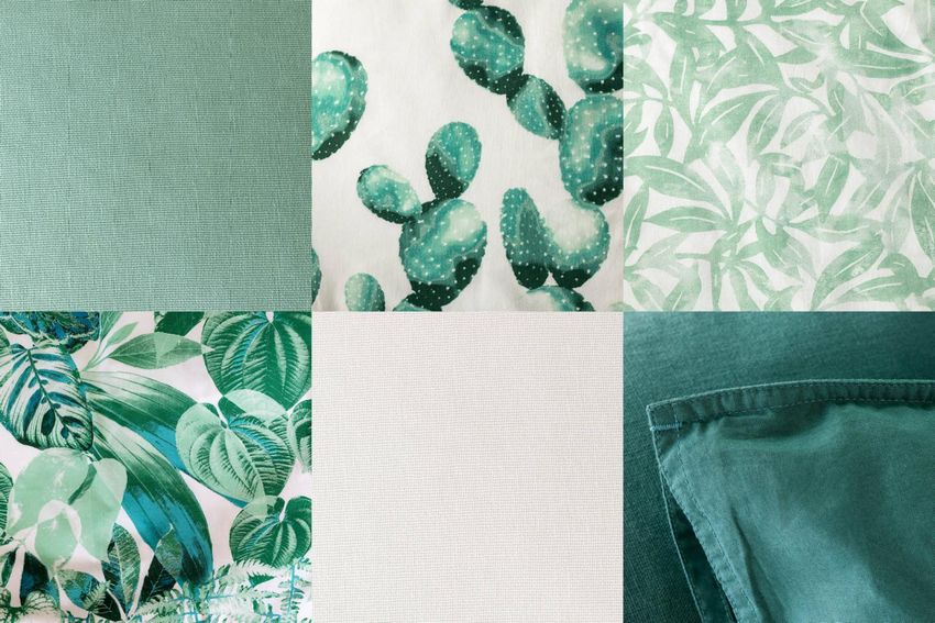 Forest Spirit: Call of the Wild